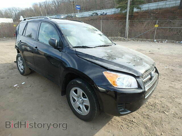 Фотография 2T3BF4DV4CW253794 - TOYOTA RAV4 2012