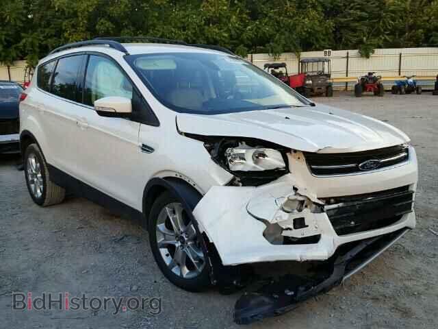 Фотография 1FMCU0H98DUC14071 - FORD ESCAPE 2013