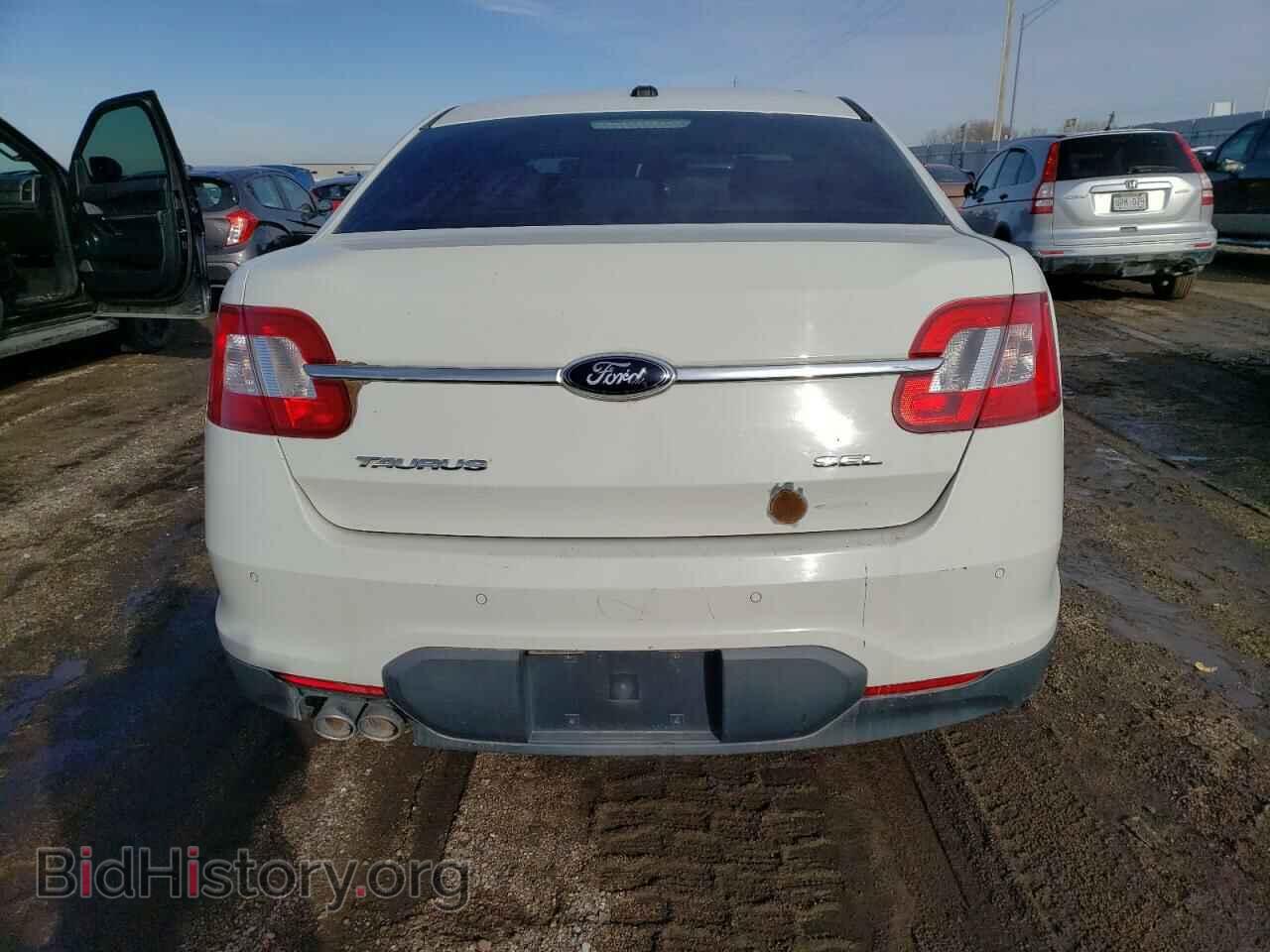2010 FORD TAURUS - VIN: 1FAHP2EW8AG109411 - Фото 6