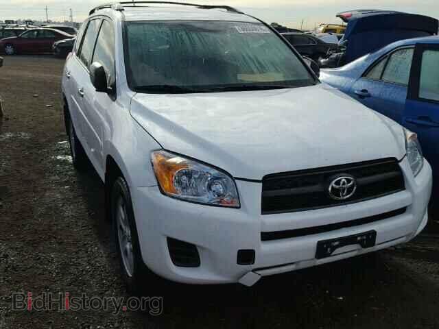 Фотография 2T3BF4DV3CW181048 - TOYOTA RAV4 2012
