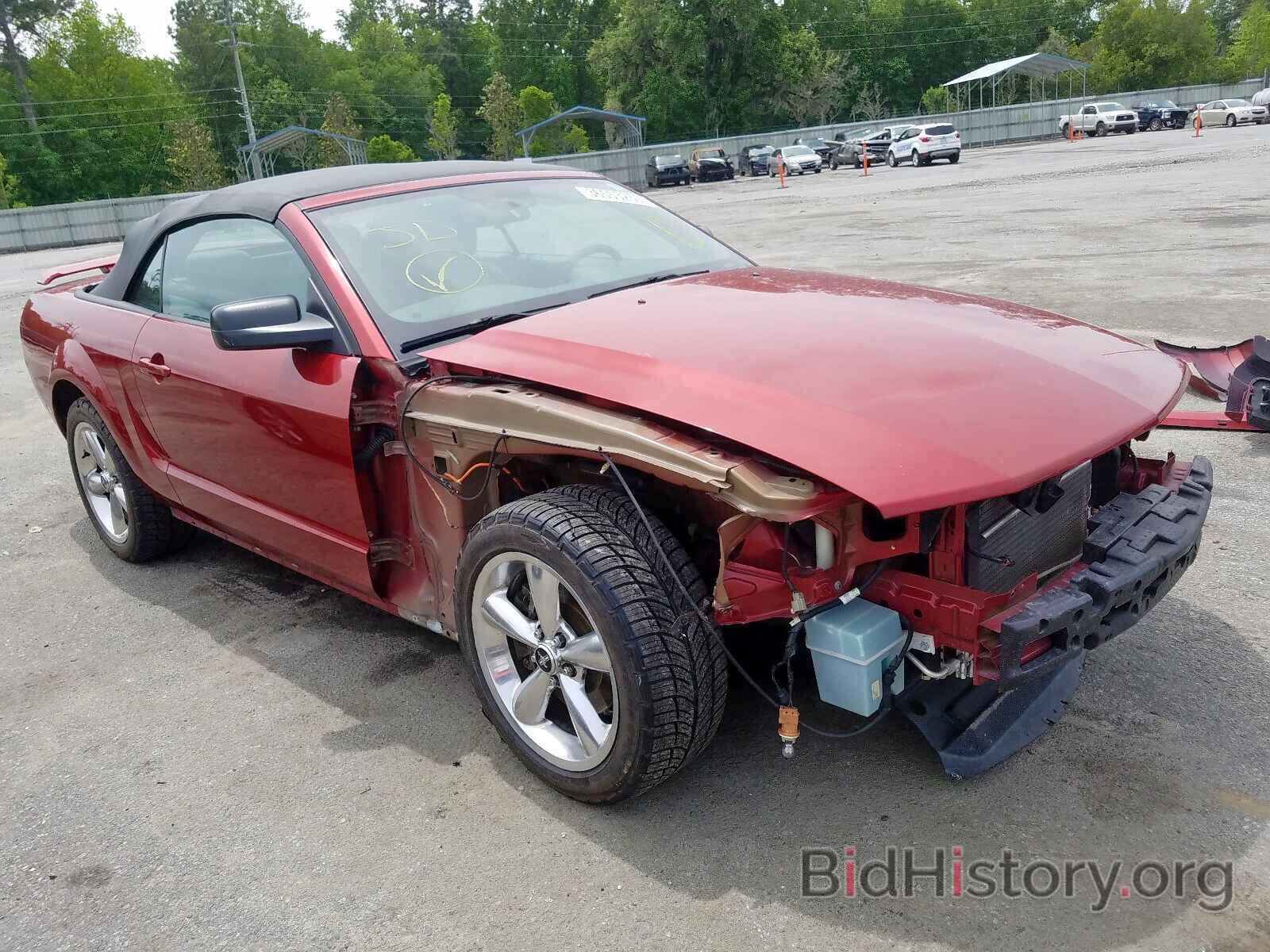 Photo 1ZVFT85H865265739 - FORD MUSTANG 2006