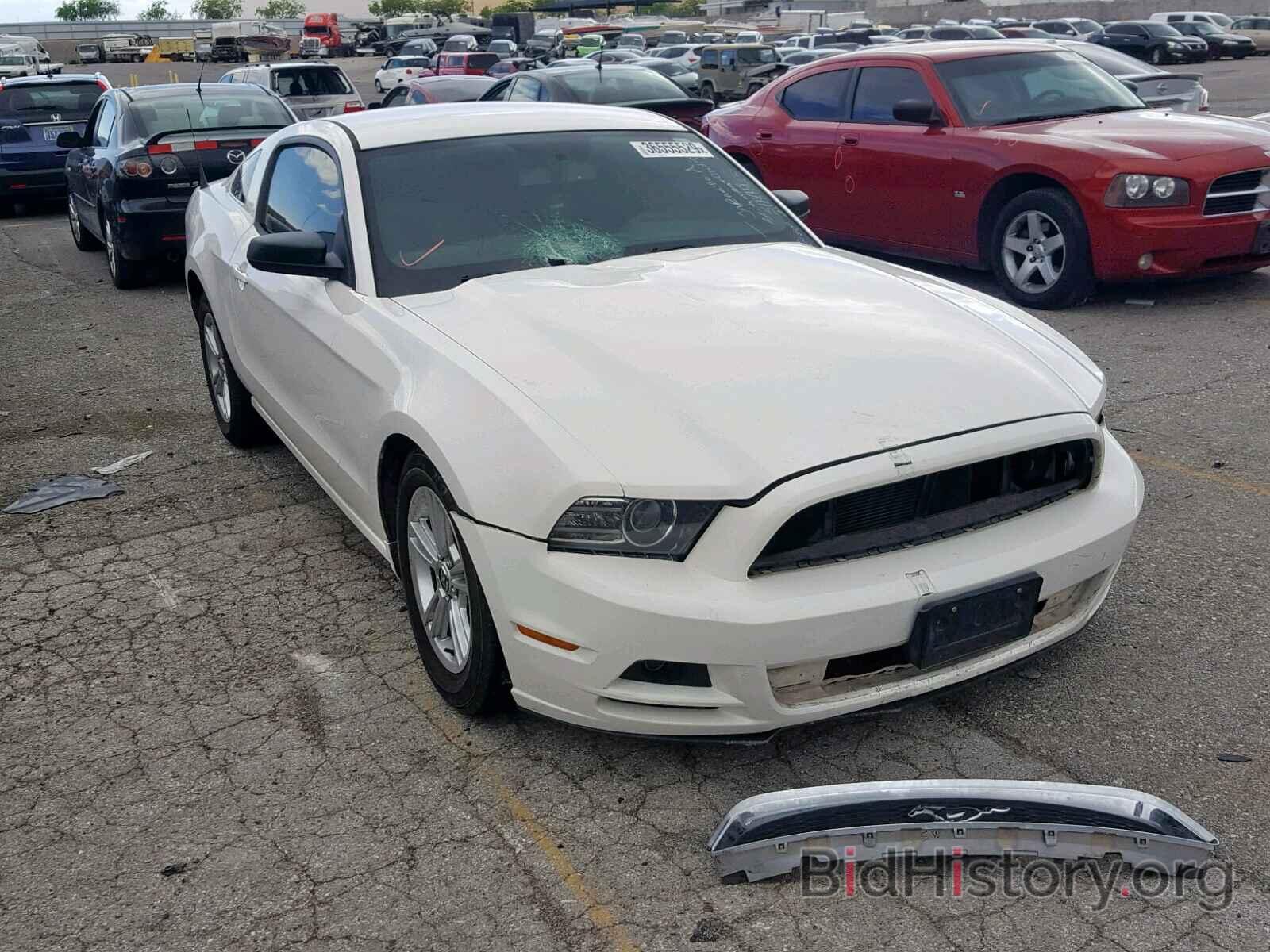 Photo 1ZVBP8AM8D5224112 - FORD MUSTANG 2013