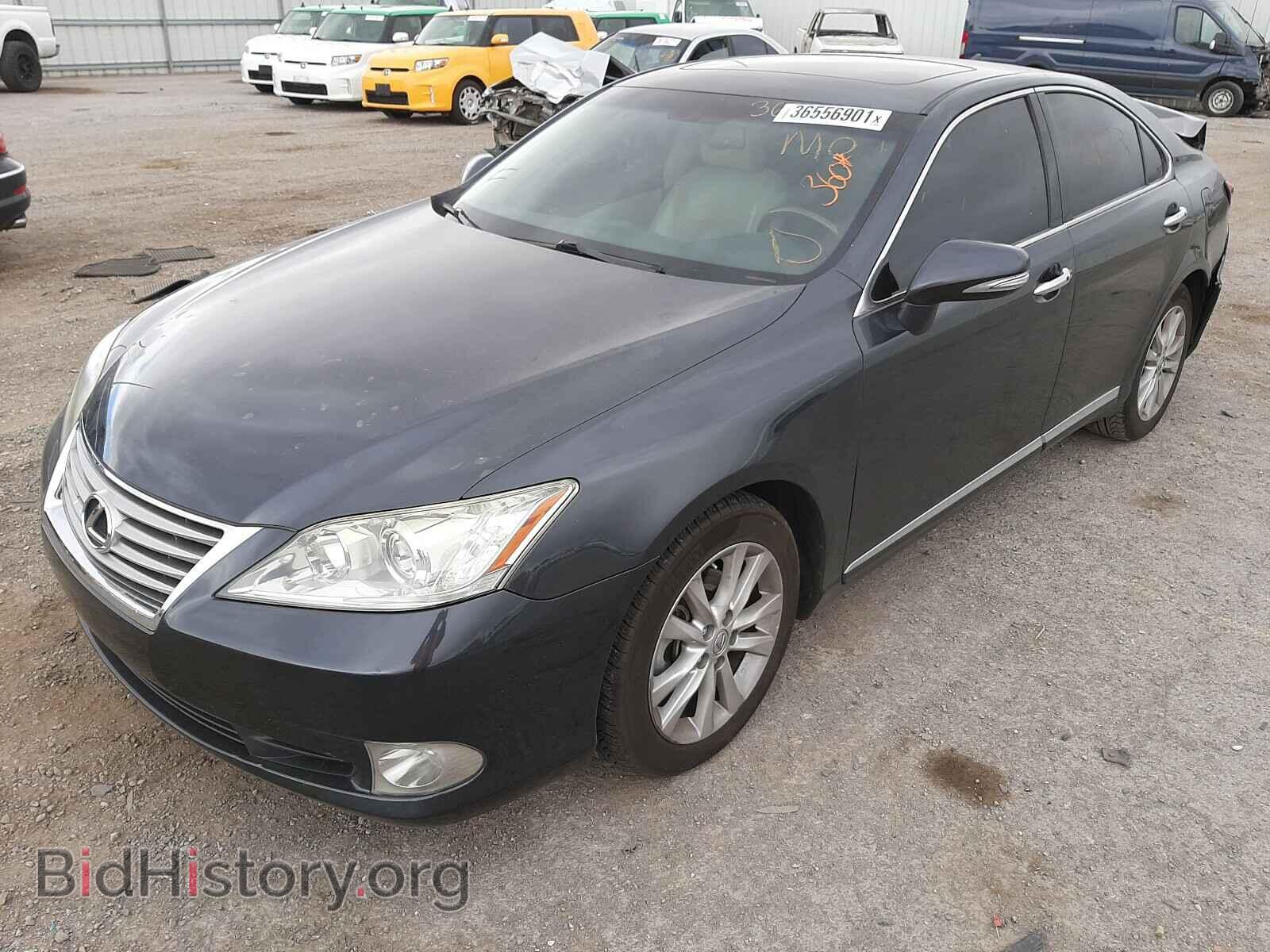 2010 LEXUS ES350 - VIN: JTHBK1EG3A2386237 - Фото 2