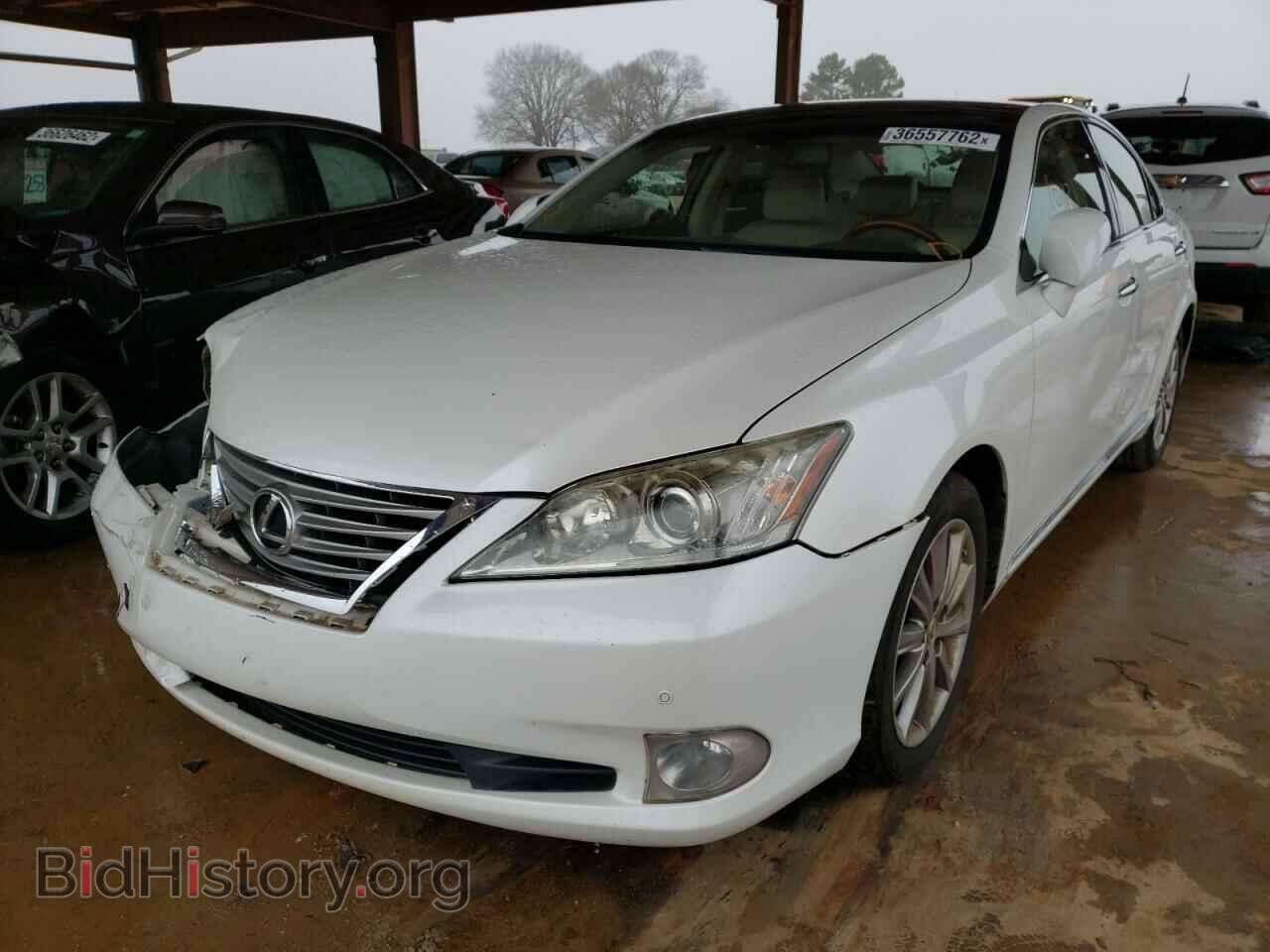 2011 LEXUS ES350 - VIN: JTHBK1EGXB2451358 - Фото 2