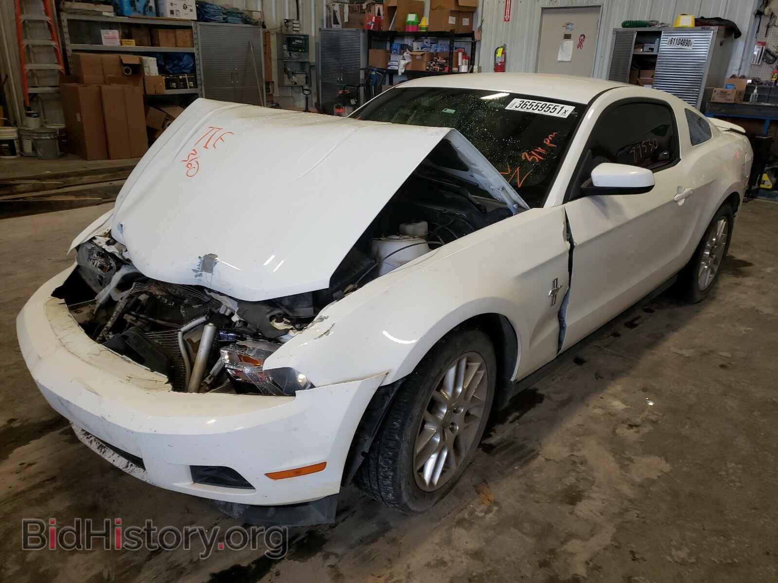 2012 FORD MUSTANG - VIN: 1ZVBP8AM1C5268967 - Фото 2