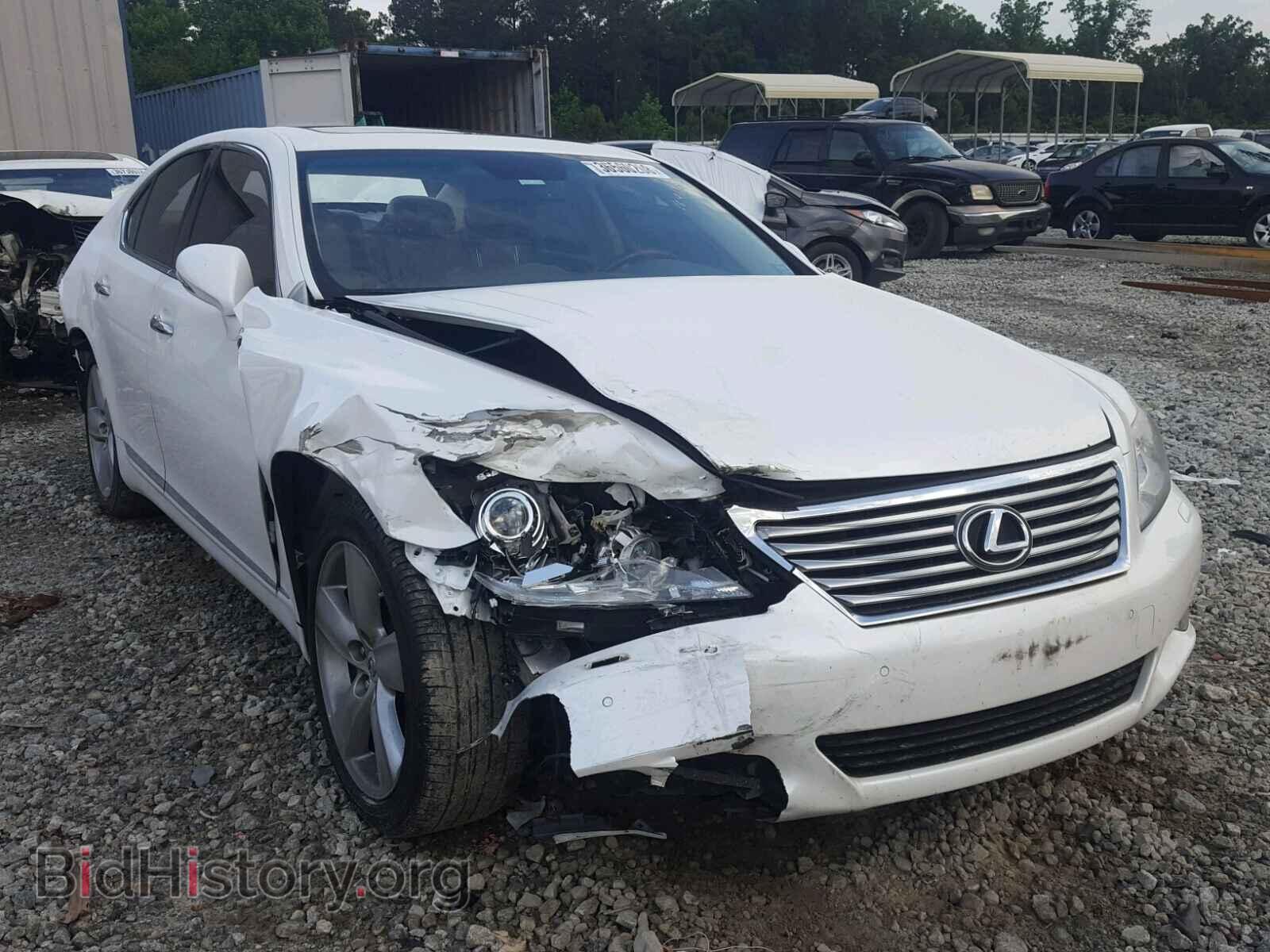 Фотография JTHBL5EF7C5113184 - LEXUS LS460 2012