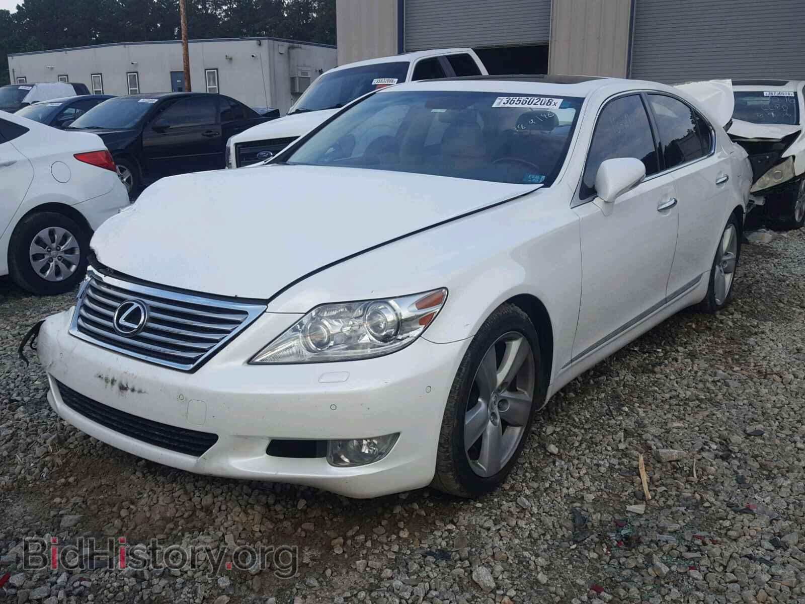 2012 LEXUS LS460 - VIN: JTHBL5EF7C5113184 - Фото 2