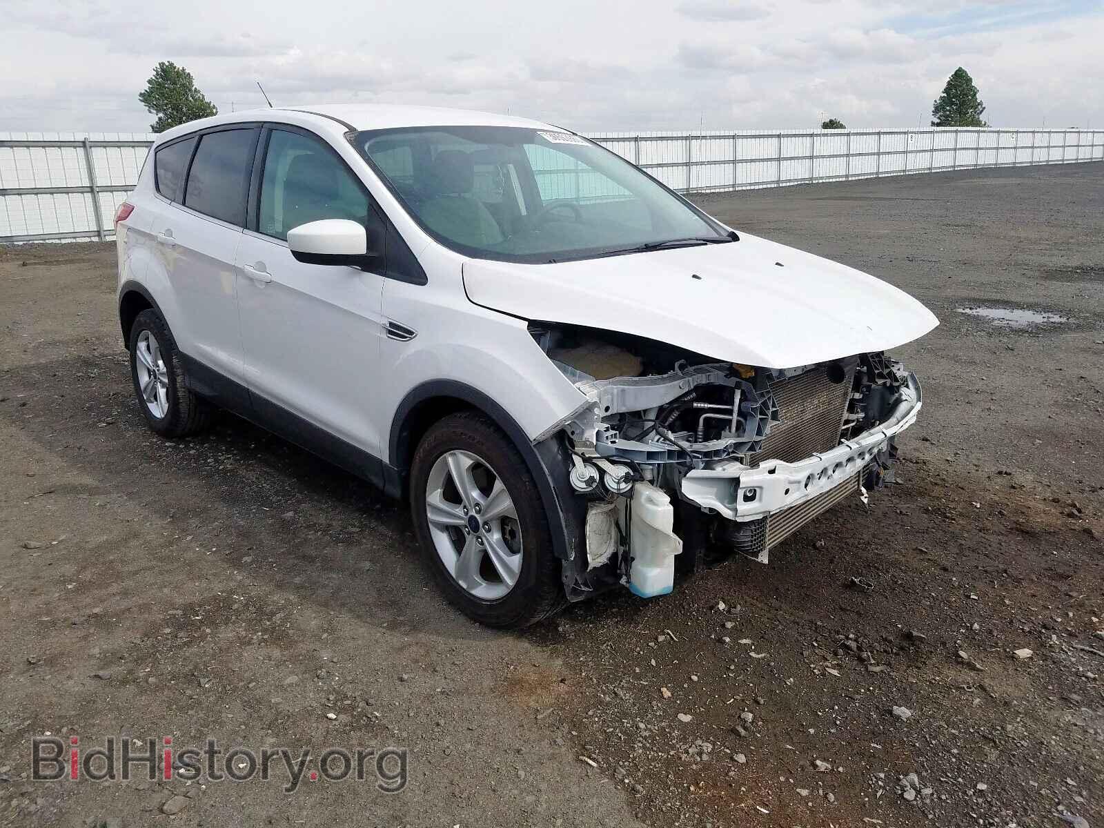 Photo 1FMCU0G91EUC57444 - FORD ESCAPE 2014