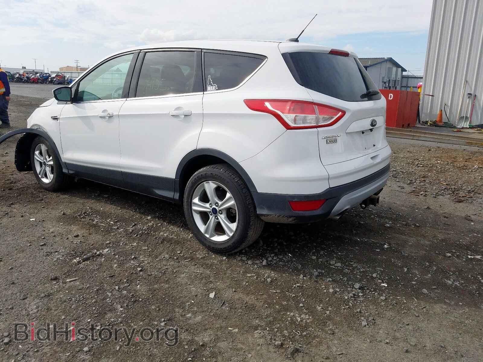 2014 FORD ESCAPE - VIN: 1FMCU0G91EUC57444 - Фото 3