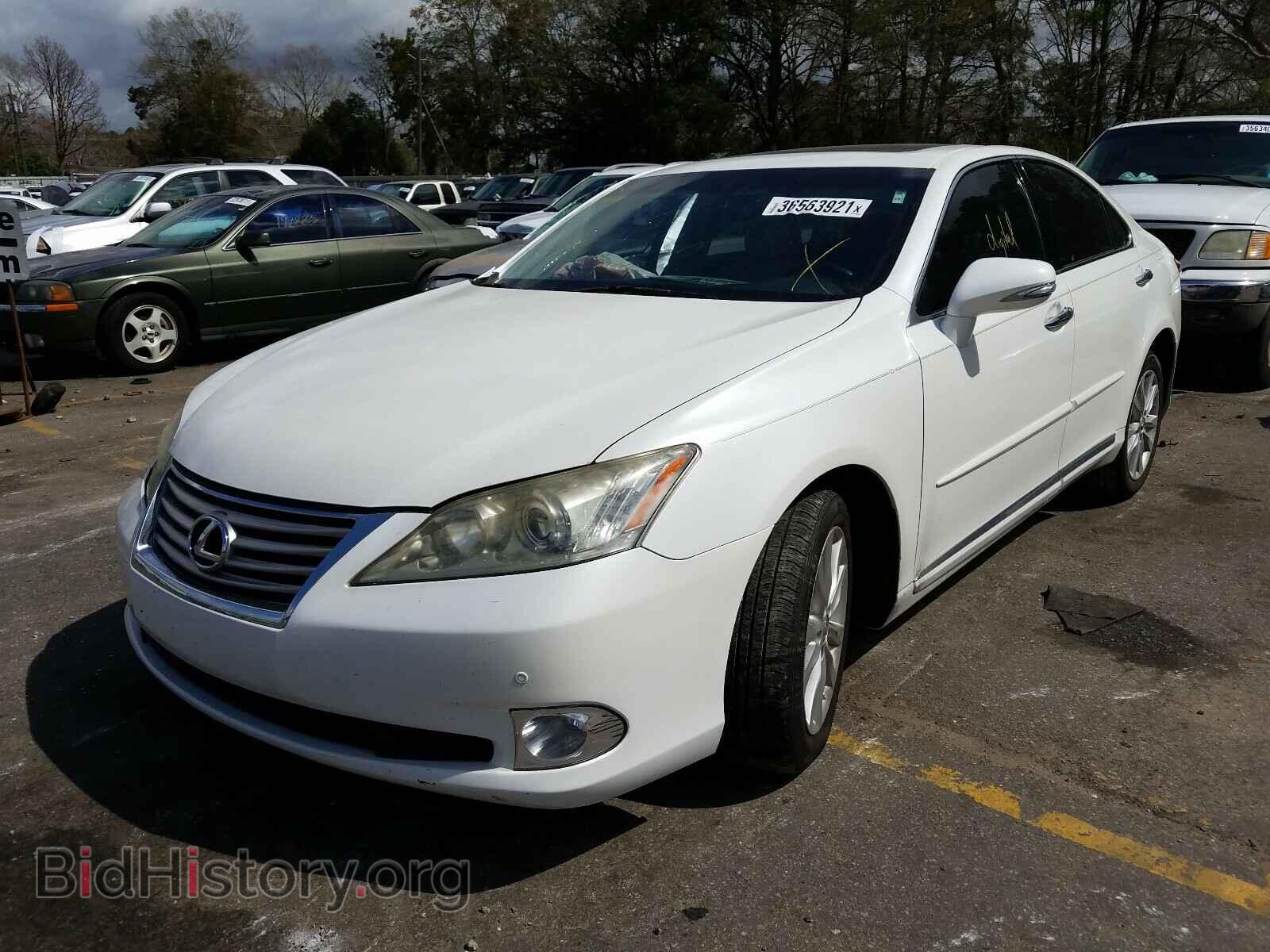 2011 LEXUS ES350 - VIN: JTHBK1EG5B2425699 - Фото 2