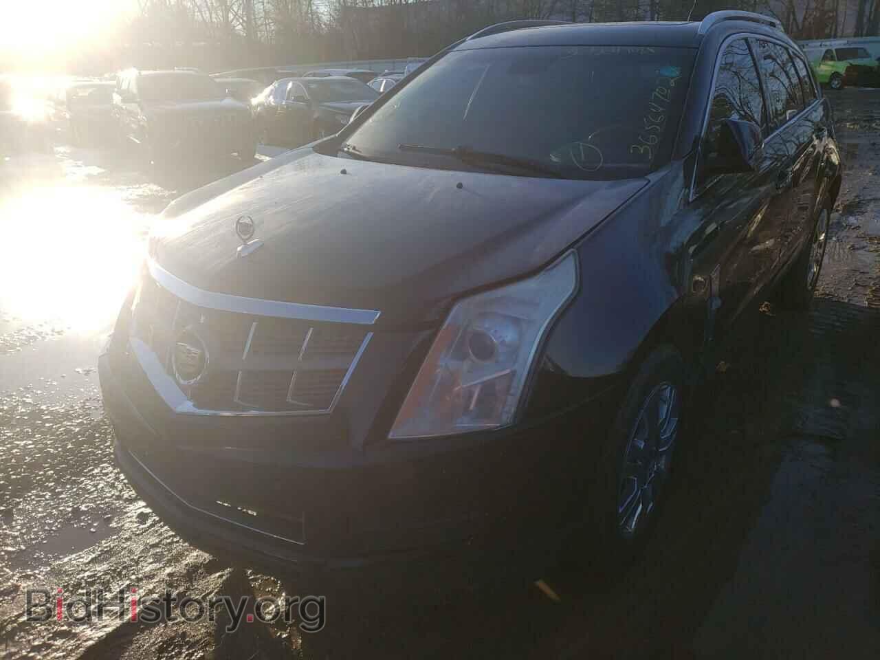 2011 CADILLAC SRX - VIN: 3GYFNDEY4BS558540 - Фото 2