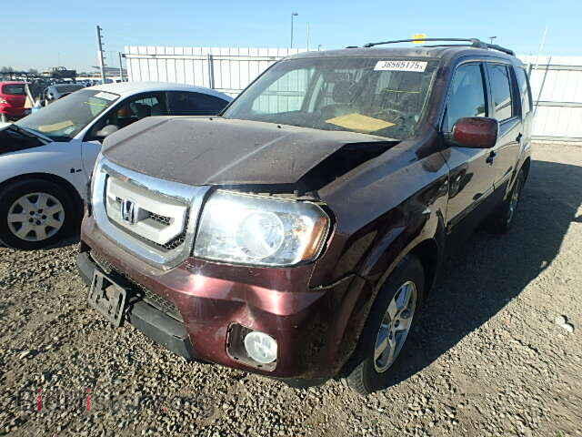 2011 HONDA PILOT - VIN: 5FNYF4H50BB065363 - Фото 2