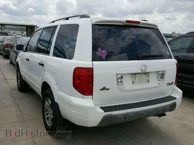 2005 HONDA PILOT - VIN: 5FNYF18665B018057 - Фото 3