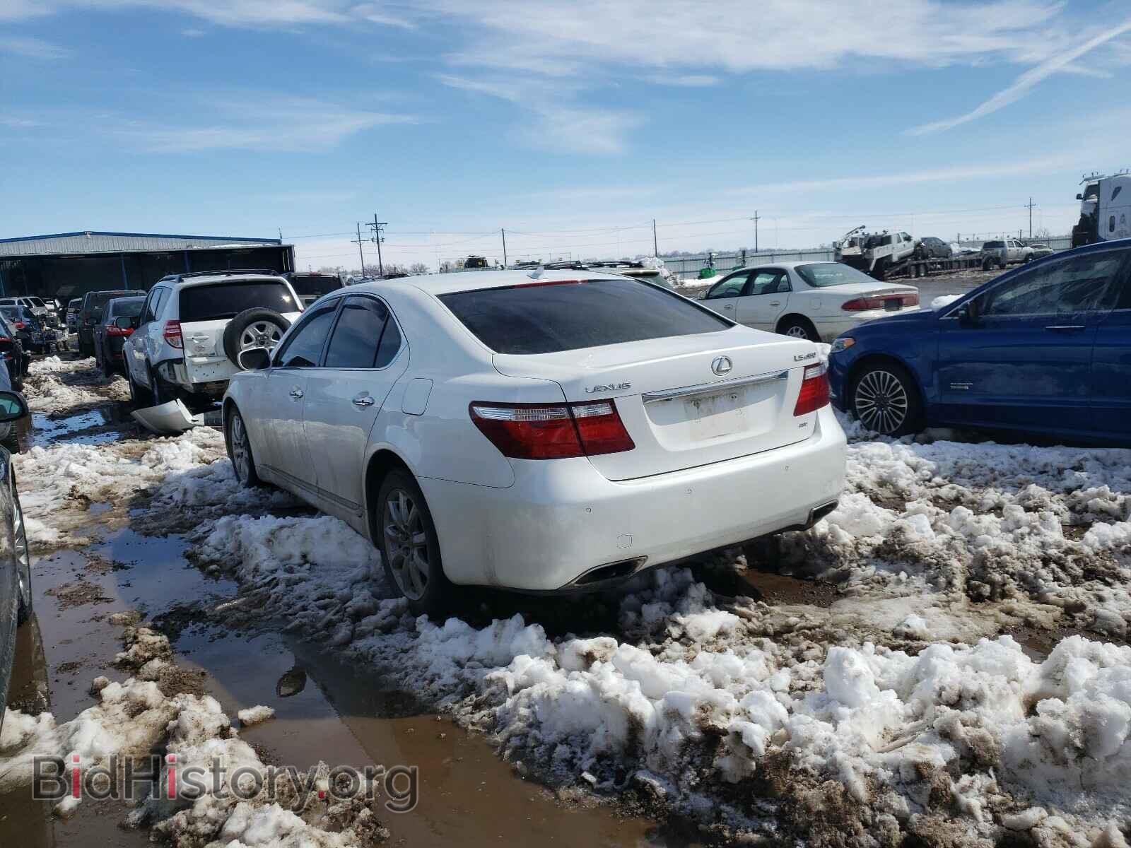 2009 LEXUS LS460 - VIN: JTHCL46F895000561 - Фото 3
