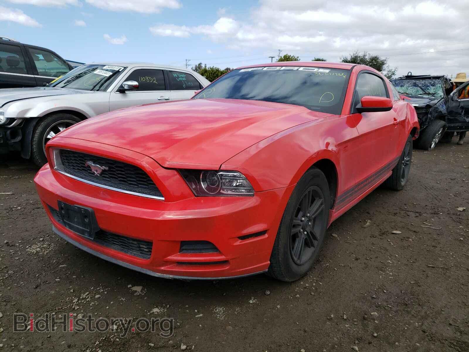 2013 FORD MUSTANG - VIN: 1ZVBP8AM1D5217289 - Фото 2