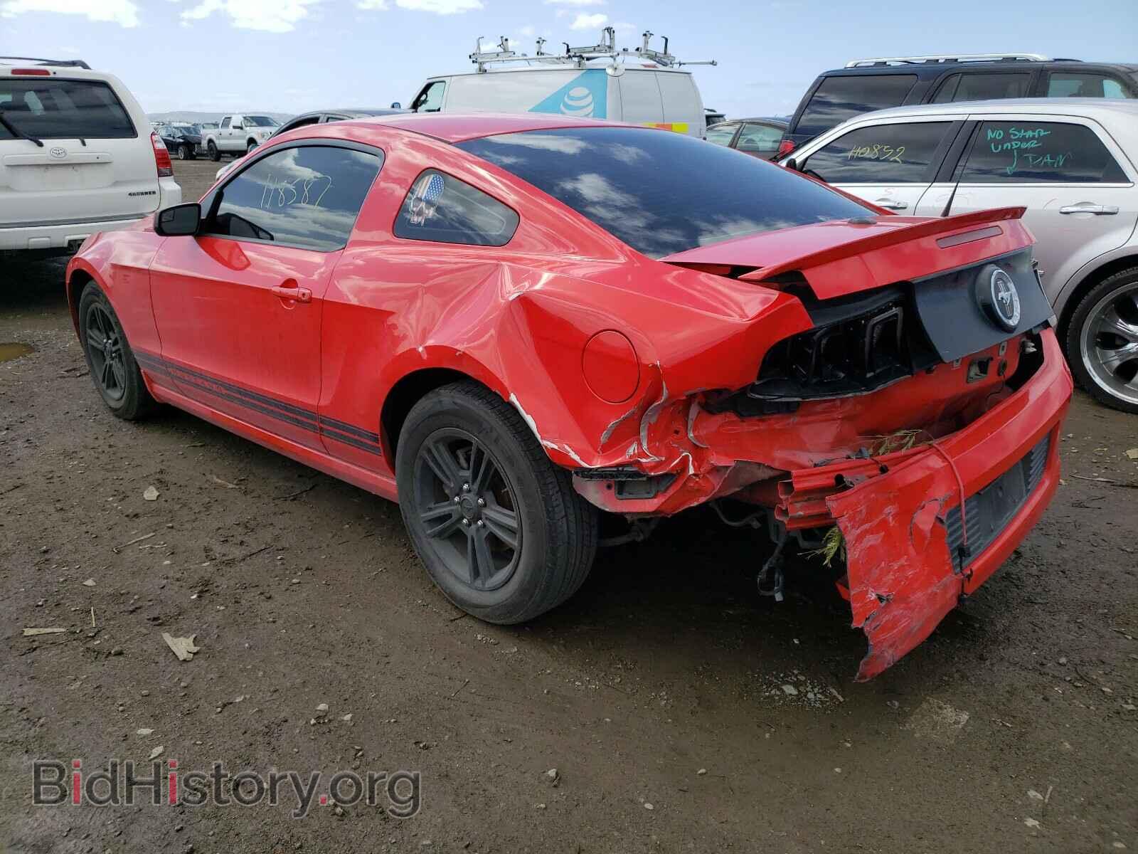 2013 FORD MUSTANG - VIN: 1ZVBP8AM1D5217289 - Фото 3