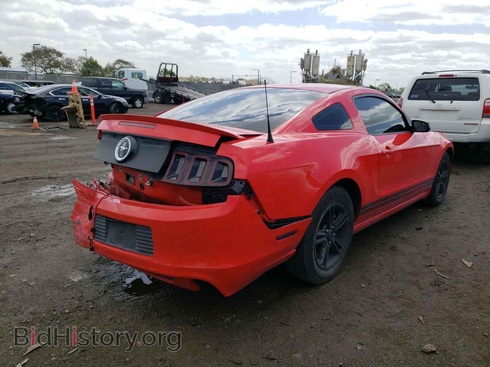 2013 FORD MUSTANG - VIN: 1ZVBP8AM1D5217289 - Фото 4
