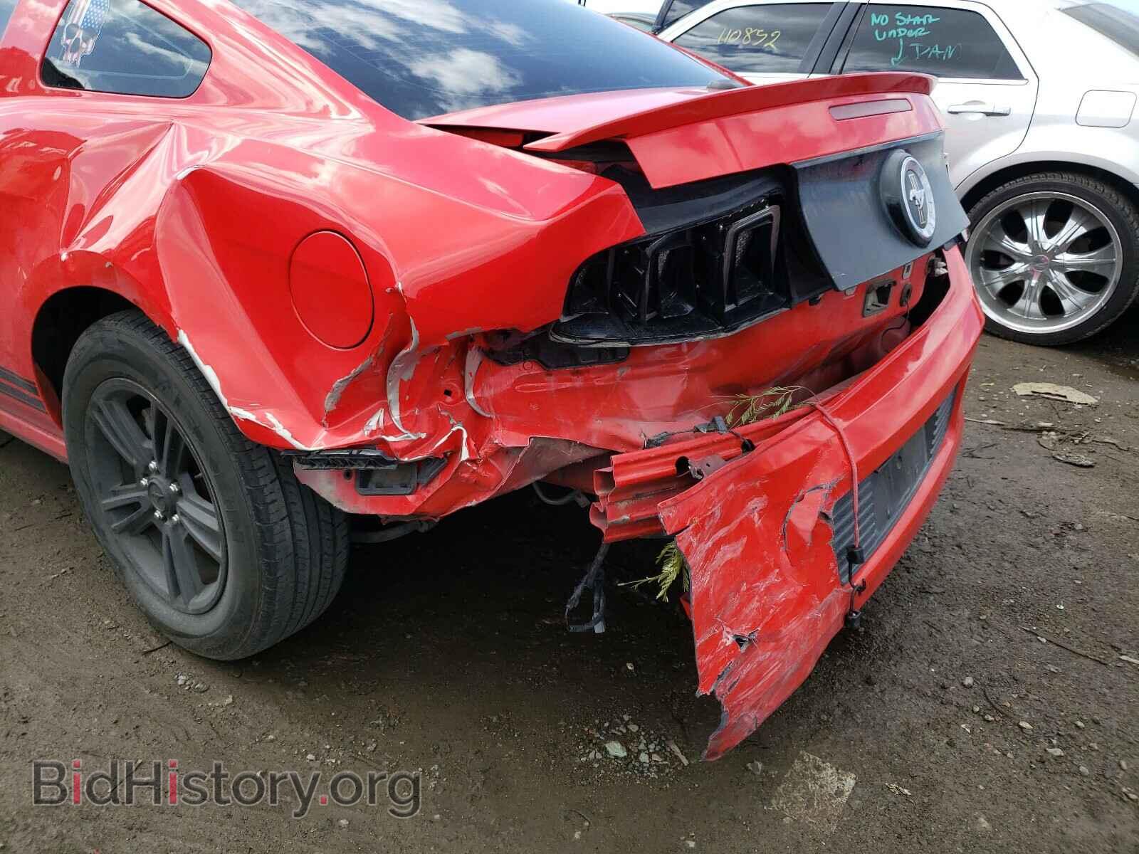 2013 FORD MUSTANG - VIN: 1ZVBP8AM1D5217289 - Фото 9