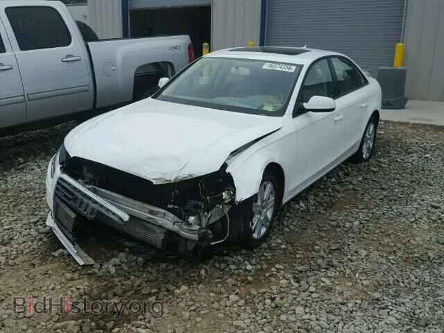2010 AUDI A4 - VIN: WAUBFAFL5AN002908 - Фото 2