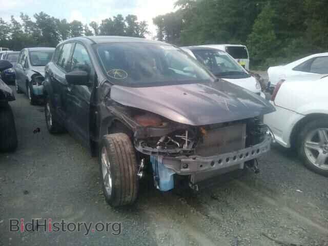 Фотография 1FMCU0F70EUE21427 - FORD ESCAPE 2014