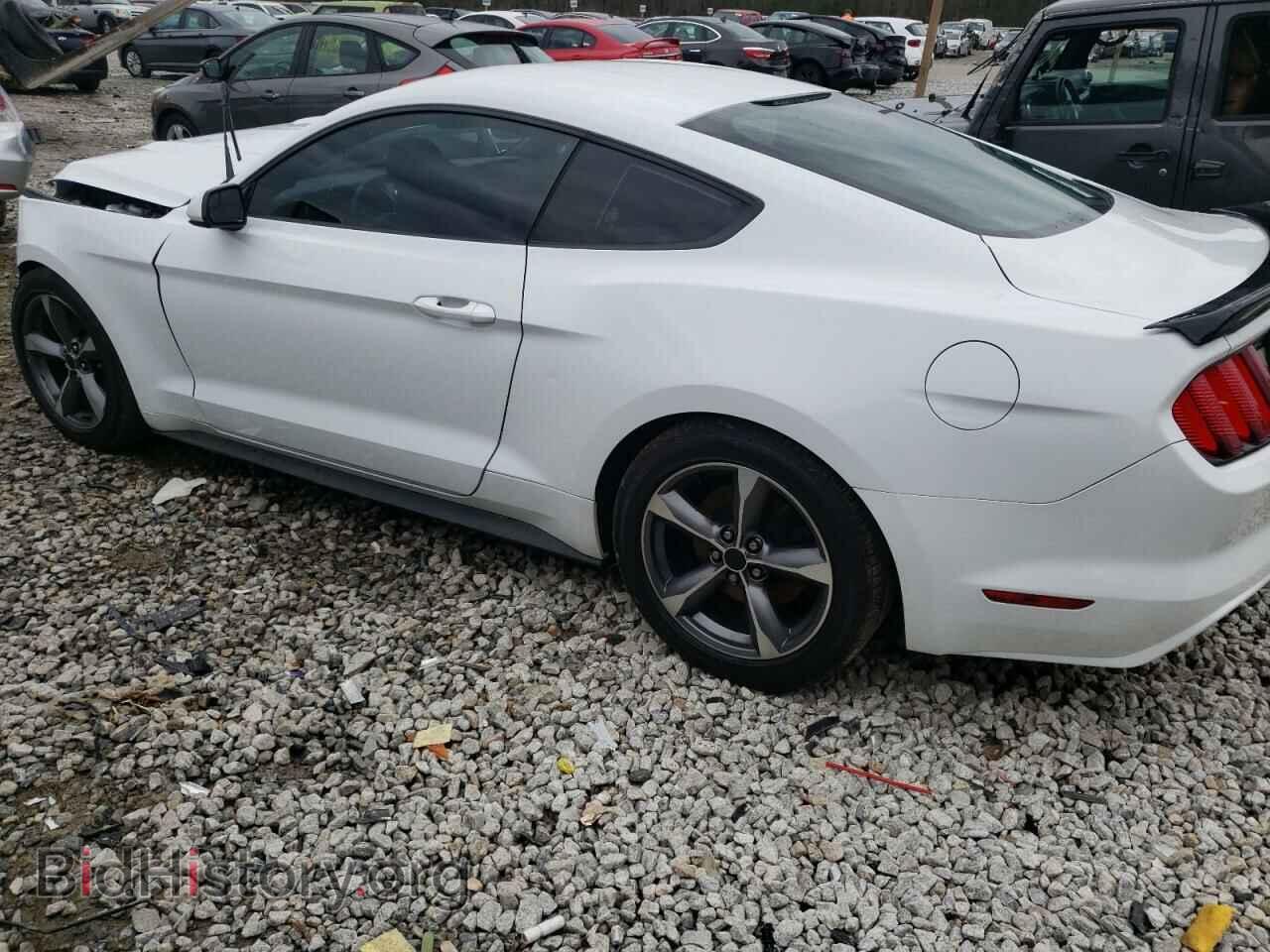 2016 FORD MUSTANG - VIN: 1FA6P8AM7G5259299 - Фото 2