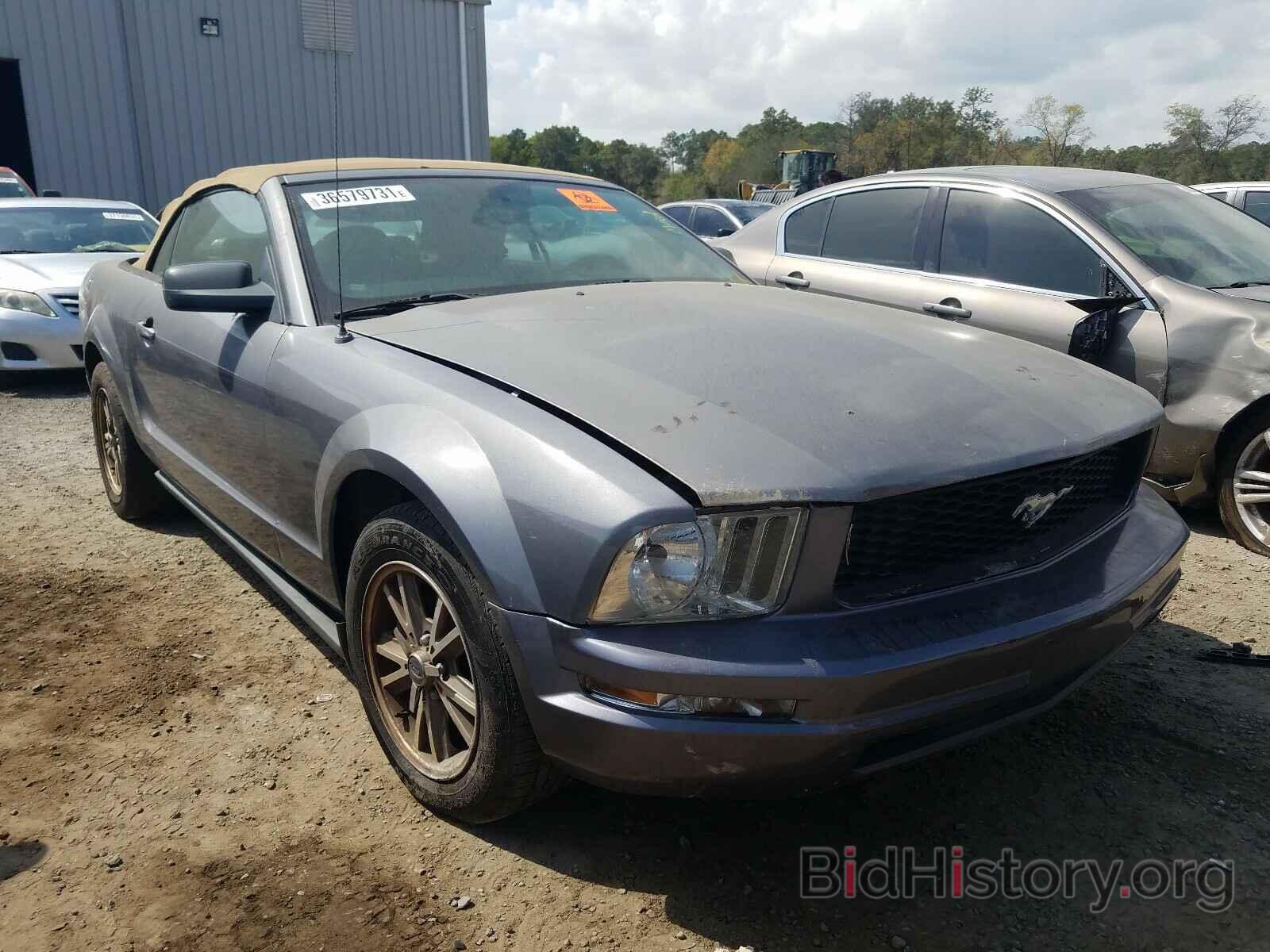 Photo 1ZVFT84N865127108 - FORD MUSTANG 2006