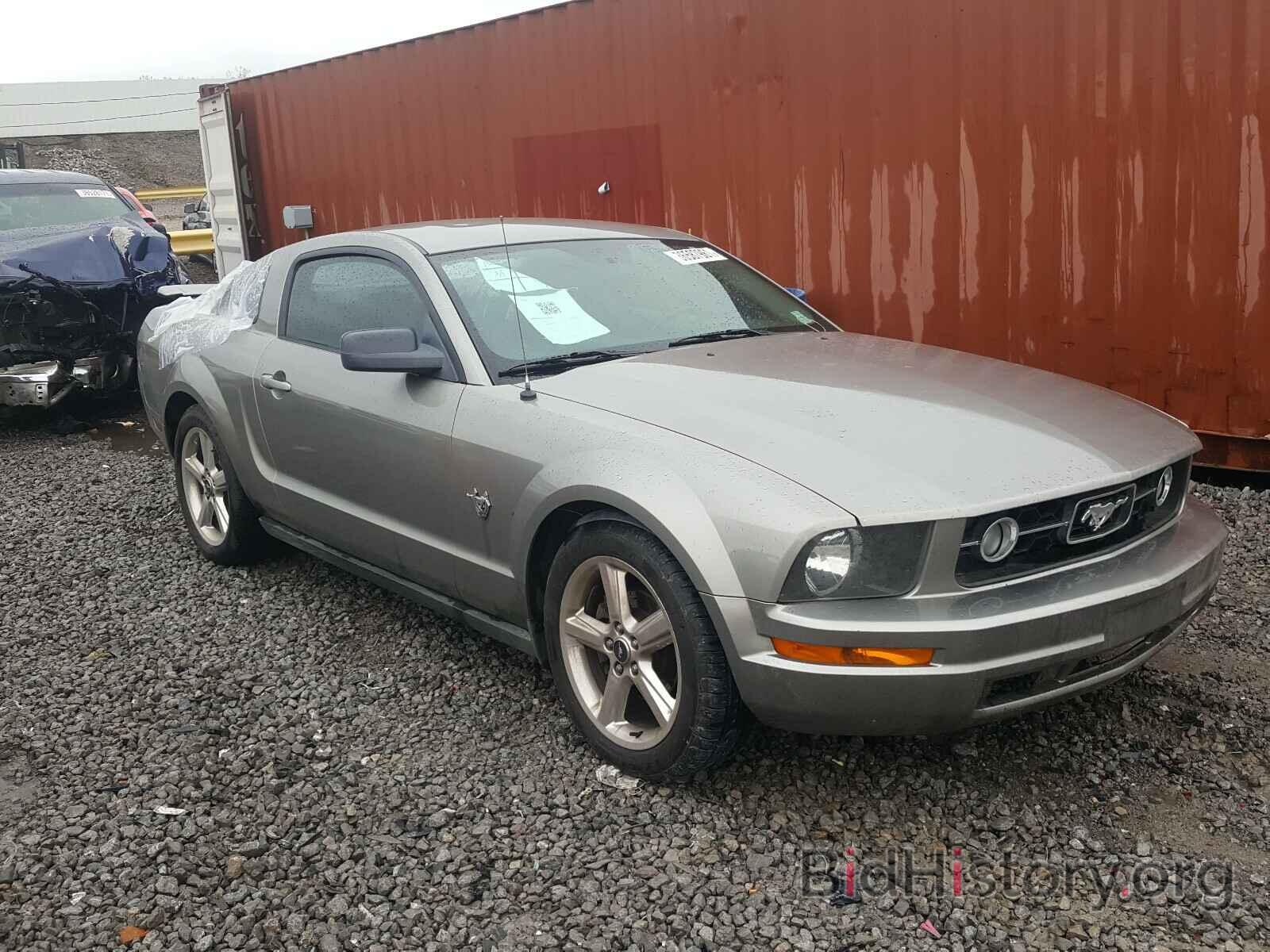 Photo 1ZVHT80N795144050 - FORD MUSTANG 2009