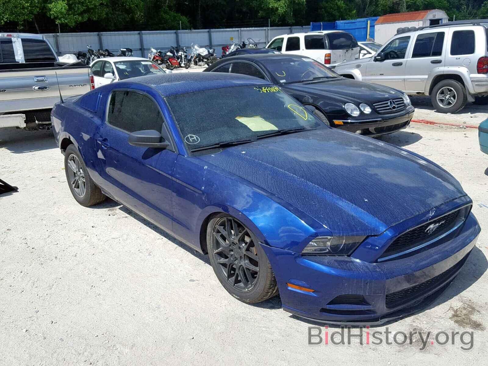 Photo 1ZVBP8AM5E5282342 - FORD MUSTANG 2014