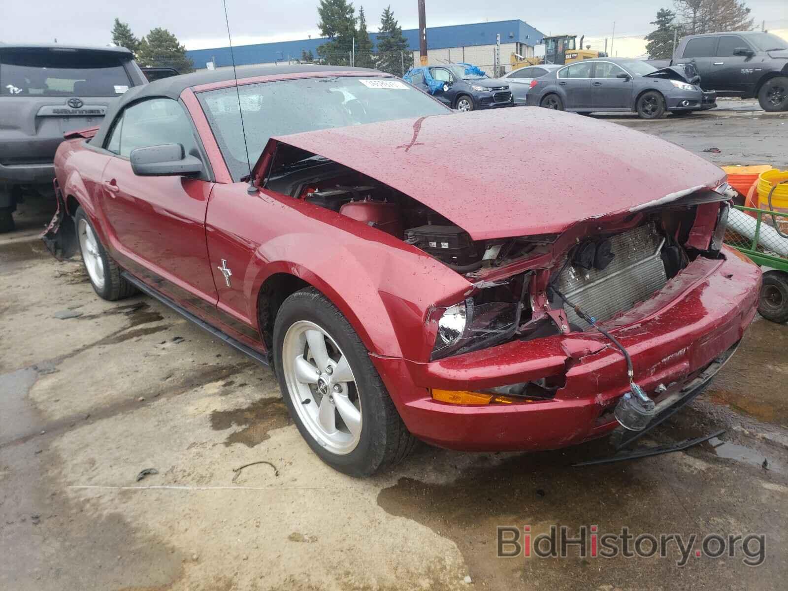 Photo 1ZVFT84N775324448 - FORD MUSTANG 2007