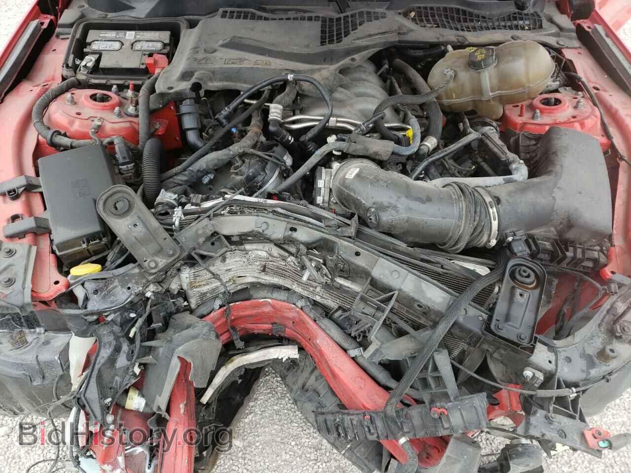 2019 FORD MUSTANG - VIN: 1FA6P8CF5K5192628 - Фото 7