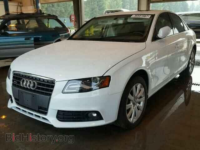2012 AUDI A4 - VIN: WAUBFAFL3CN012369 - Фото 2