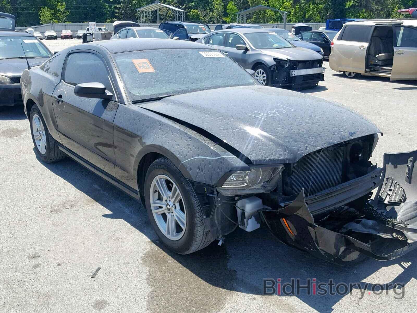 Photo 1ZVBP8AM7D5250636 - FORD MUSTANG 2013