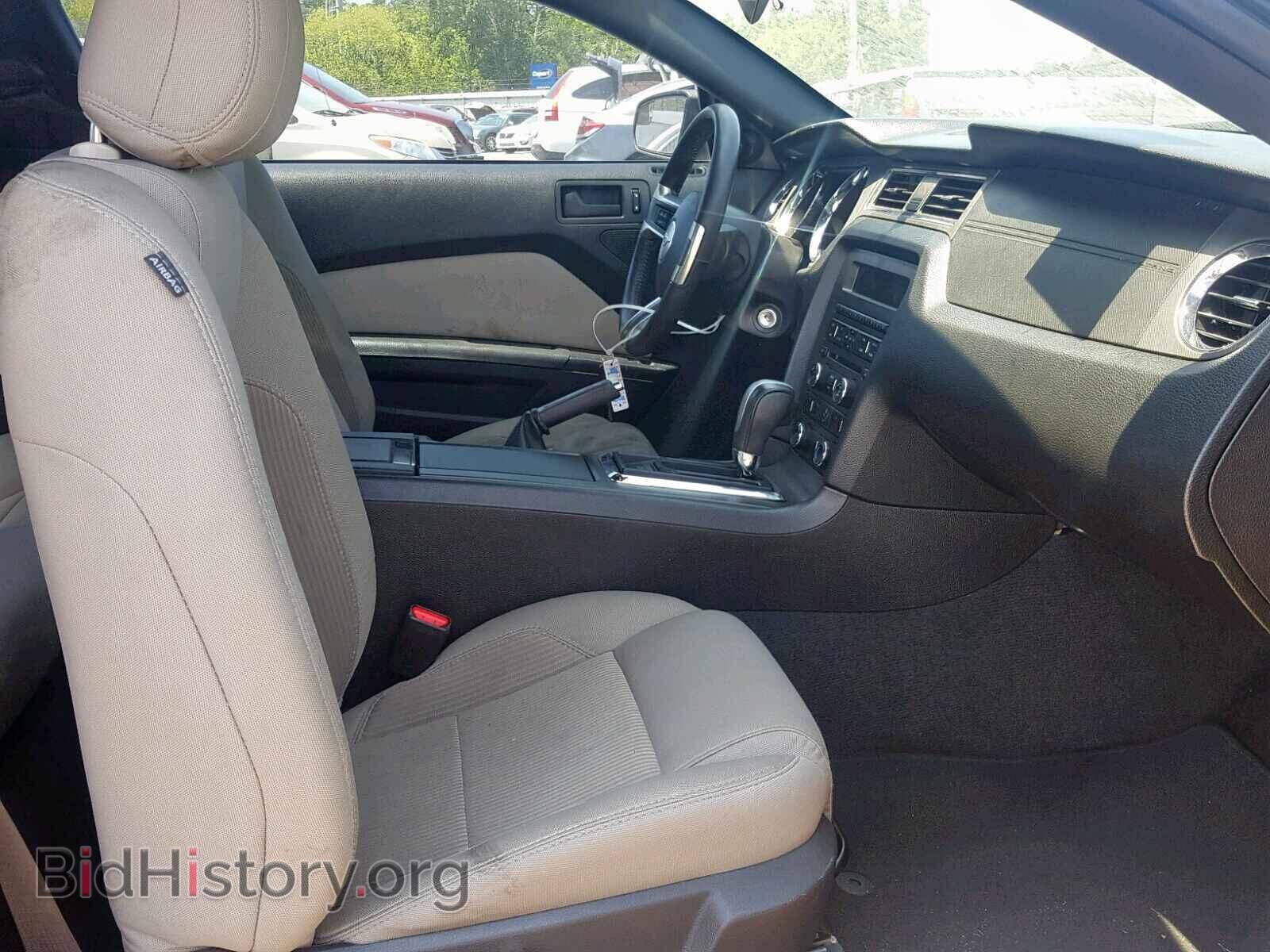 2013 FORD MUSTANG - VIN: 1ZVBP8AM7D5250636 - Фото 5
