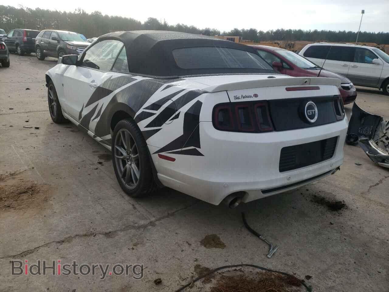 2014 FORD MUSTANG - VIN: 1ZVBP8FF2E5261667 - Фото 3