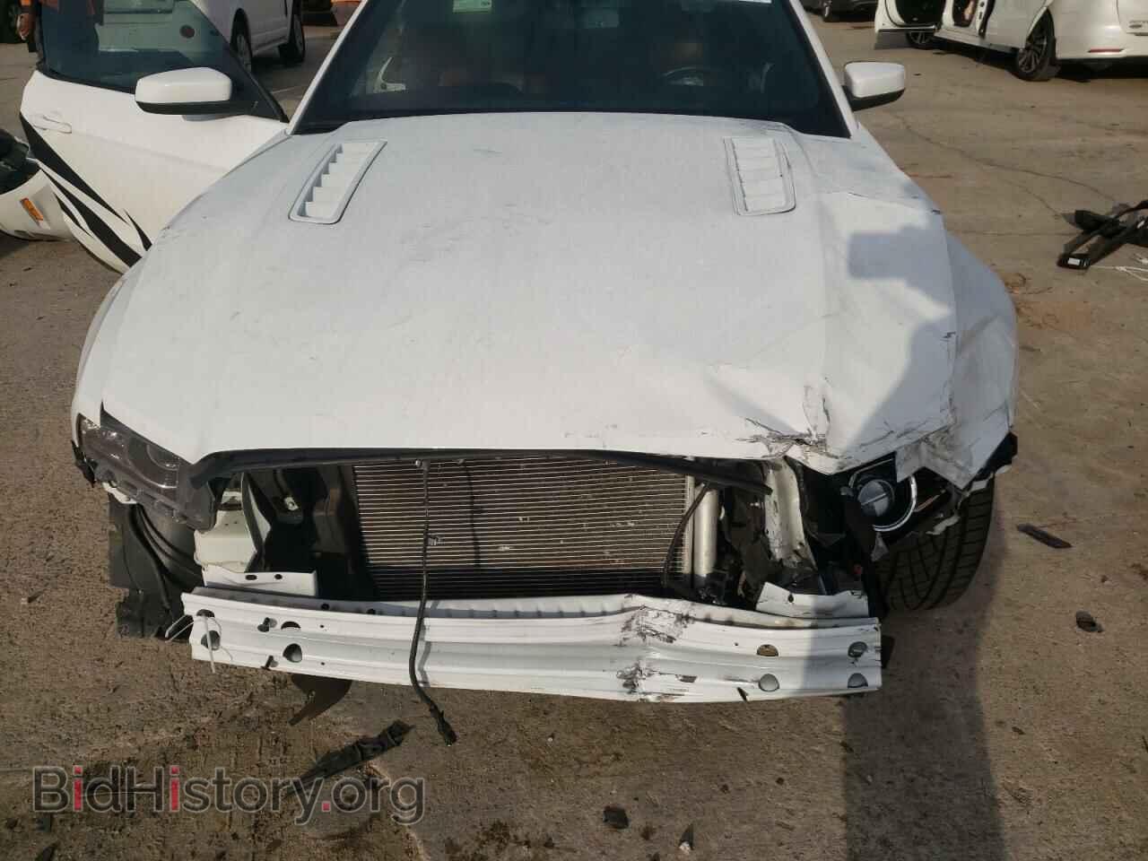 2014 FORD MUSTANG - VIN: 1ZVBP8FF2E5261667 - Фото 7