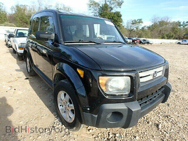 Photo 5J6YH18737L016067 - HONDA ELEMENT 2007