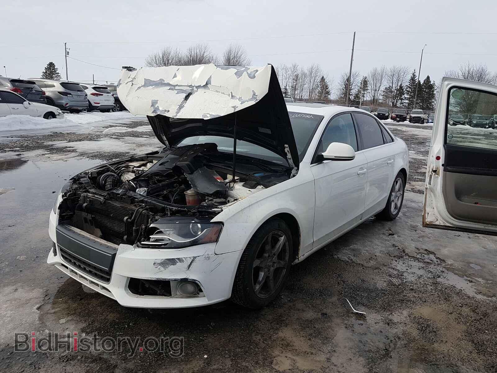 2009 AUDI A4 - VIN: WAULF68K49N015926 - Фото 2