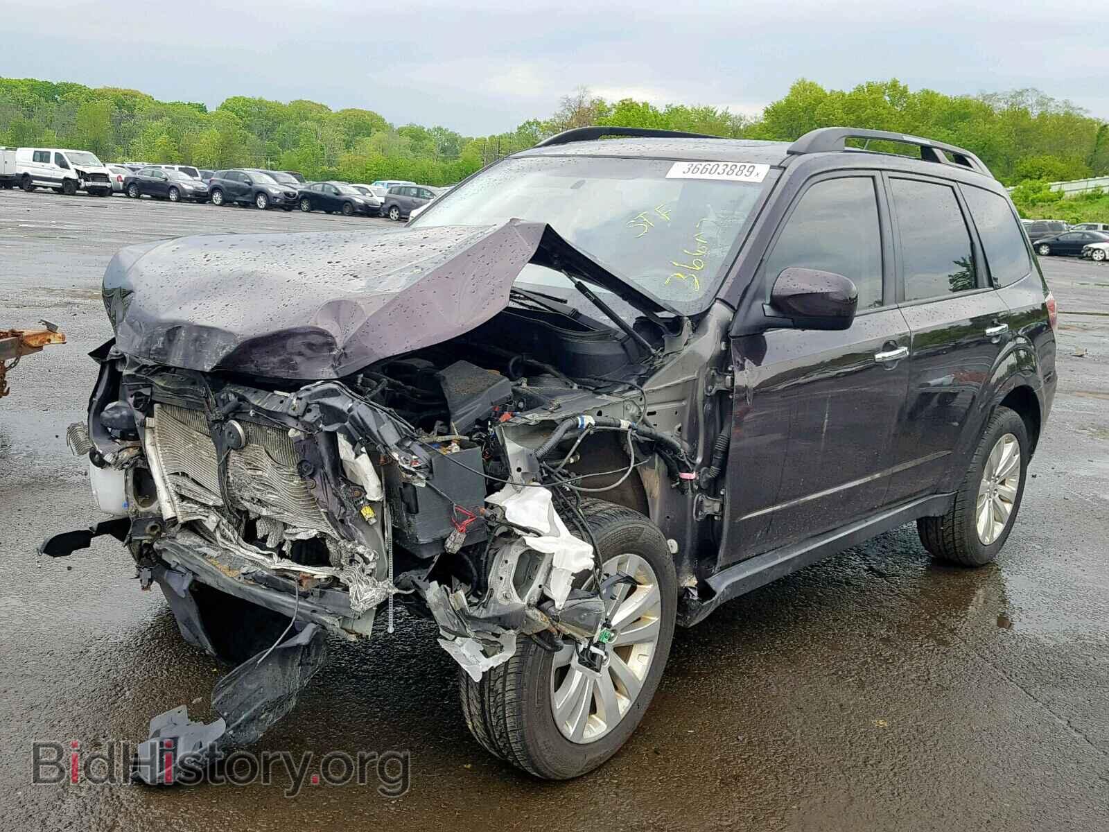 2013 SUBARU FORESTER - VIN: JF2SHACC2DH426066 - Фото 2