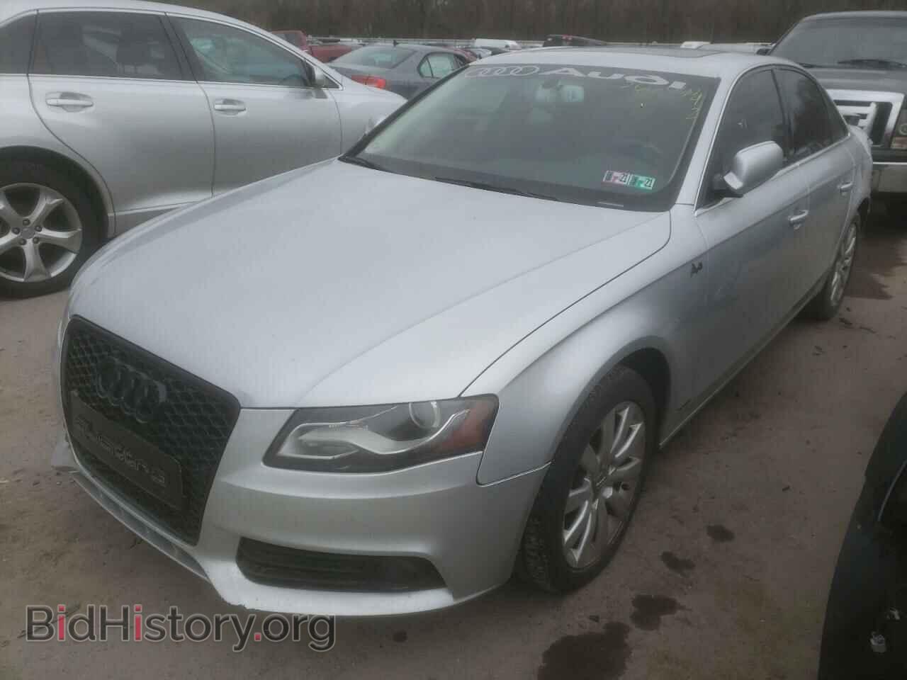 2011 AUDI A4 - VIN: WAUFFAFL3BN033173 - Фото 2