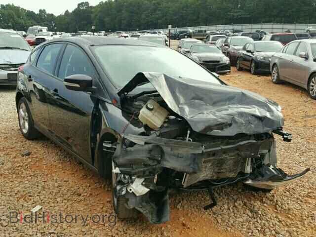 Photo 1FADP3K25DL135997 - FORD FOCUS 2013