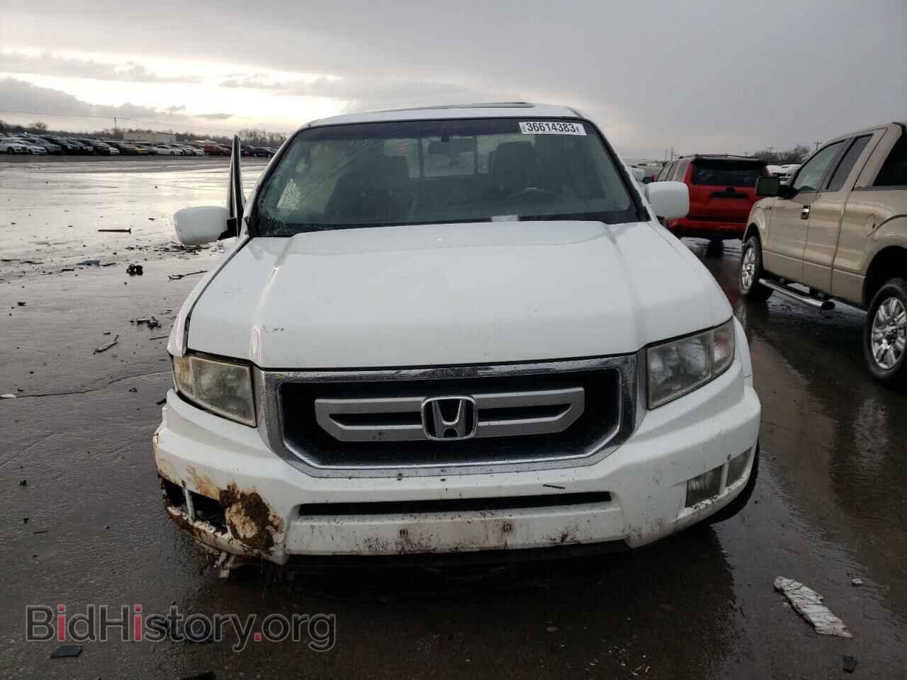 2009 HONDA RIDGELINE - VIN: 5FPYK16539B107877 - Фото 5