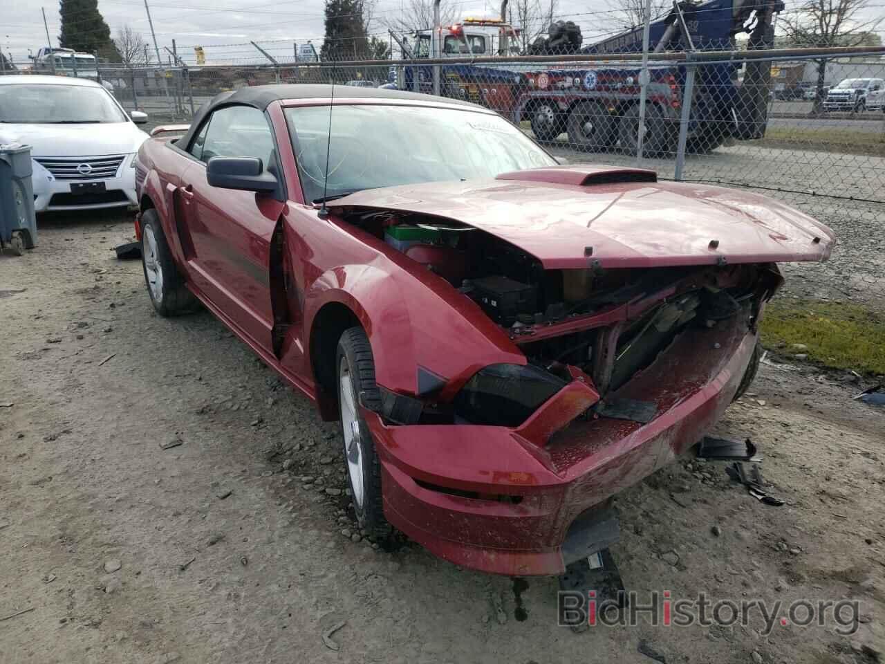 Photo 1ZVHT85H175222256 - FORD MUSTANG 2007