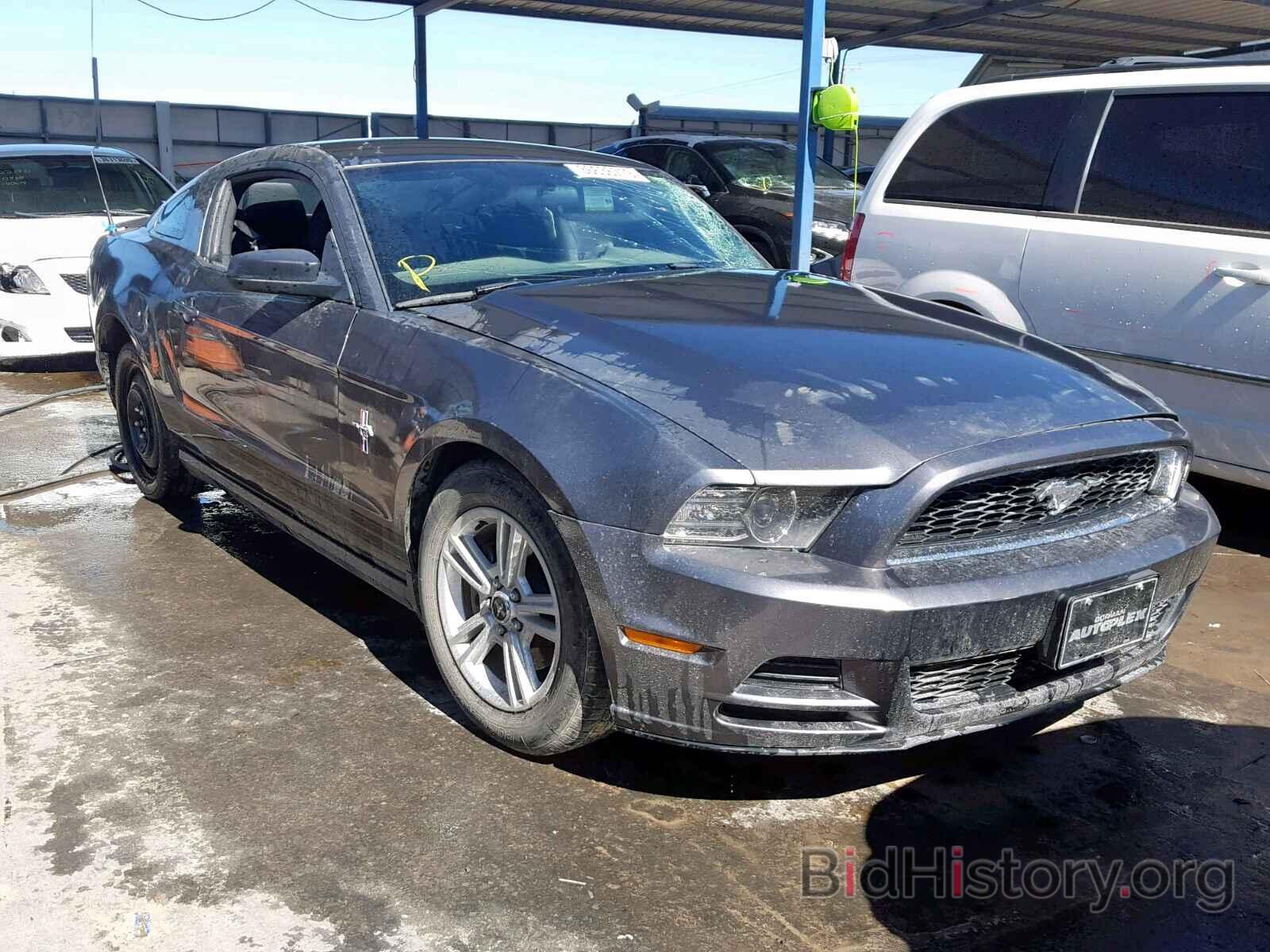 Photo 1ZVBP8AM3D5243313 - FORD MUSTANG 2013