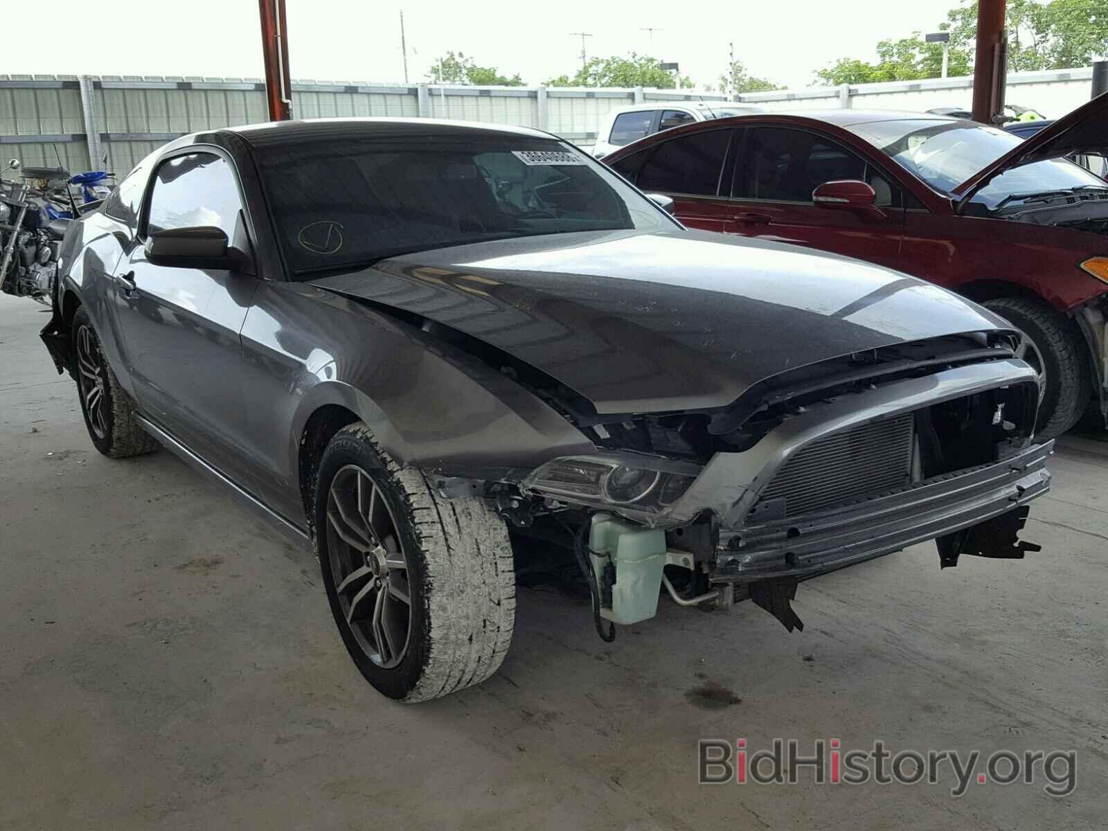 Photo 1ZVBP8AM9D5225186 - FORD MUSTANG 2013