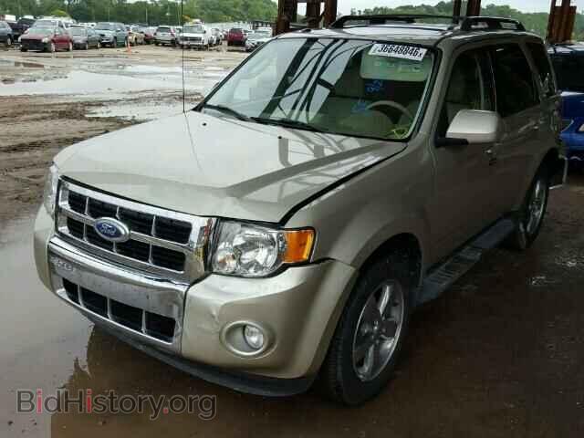 2011 FORD ESCAPE - VIN: 1FMCU0E76BKC21905 - Фото 2
