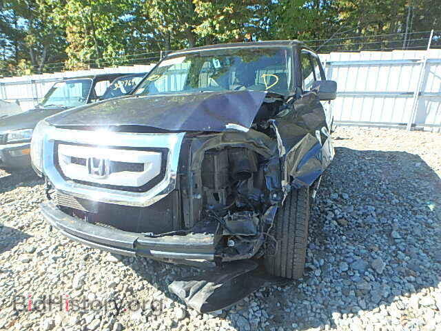 2011 HONDA PILOT - VIN: 5FNYF4H69BB027218 - Фото 2