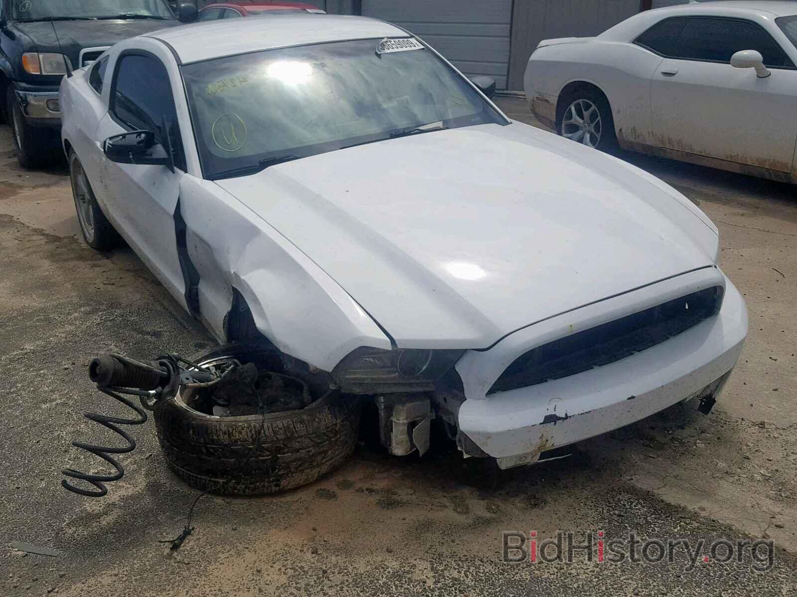 Photo 1ZVBP8AM8D5276064 - FORD MUSTANG 2013