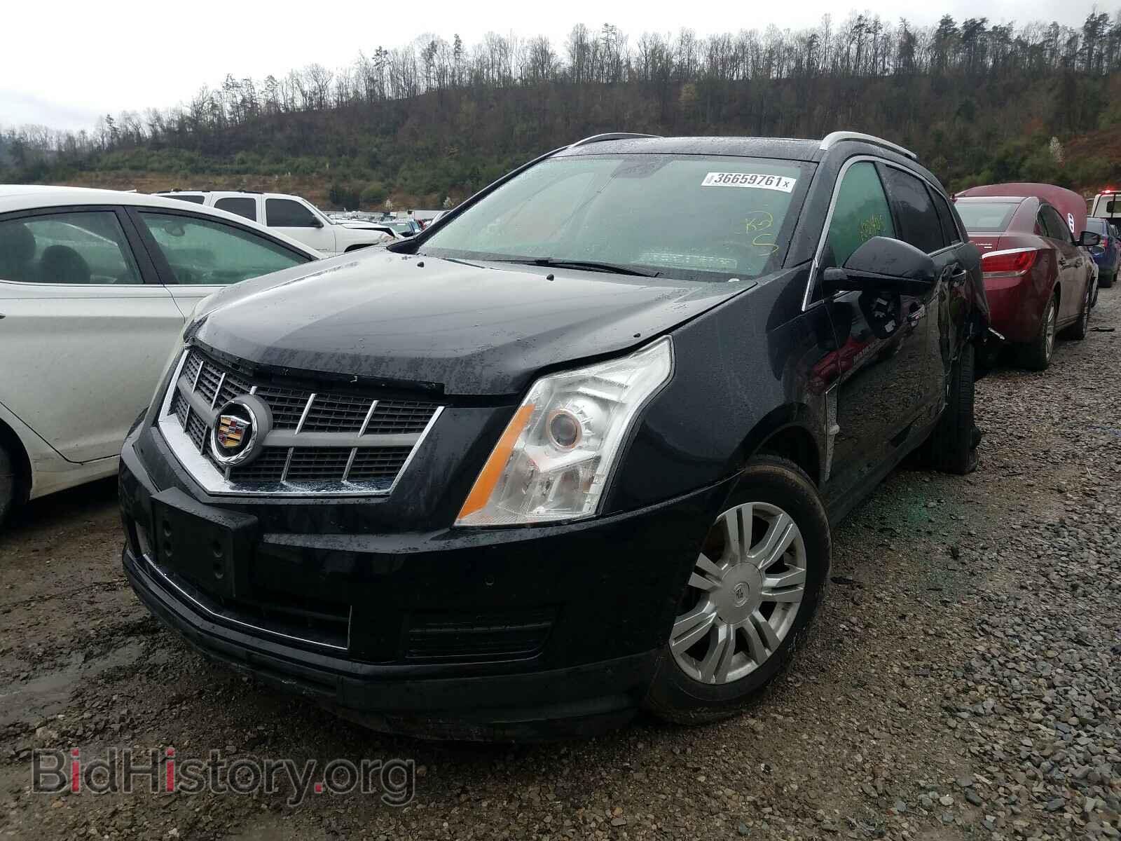 2010 CADILLAC SRX - VIN: 3GYFNAEY6AS615107 - Фото 2