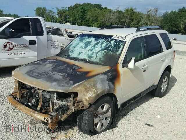 2009 FORD ESCAPE - VIN: 1FMCU04749KA80974 - Фото 2