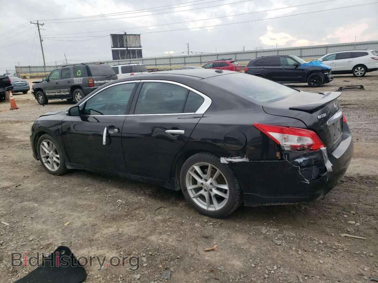 2010 NISSAN MAXIMA - VIN: 1N4AA5AP3AC856246 - Фото 2